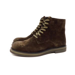 Ambitious anfibio camoscio